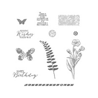 Butterfly Basics Clear-Mount Stamp Set