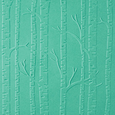 Woodland Textured Impressions Embossing Folder by Stampin' Up!
