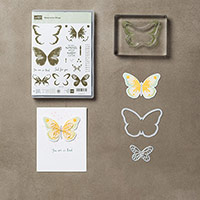 Watercolor Wings Photopolymer Bundle by Stampin' Up!