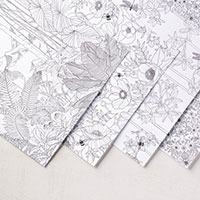 Inside The Lines Designer Series Paper