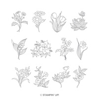 In Every Season Wood-Mount Stamp Set