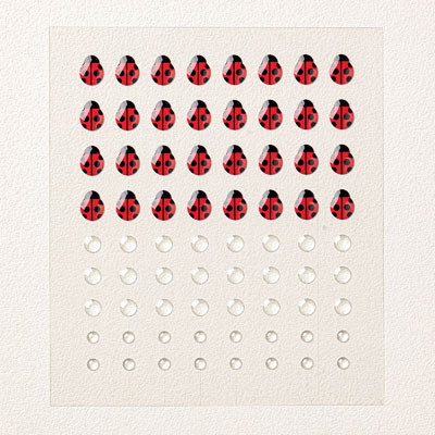 Stampin Up Product 167005