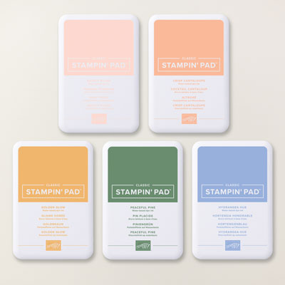 Stampin Up Product 167675