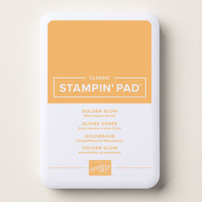 Stampin Up Product 167676