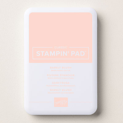 Stampin Up Product 167678