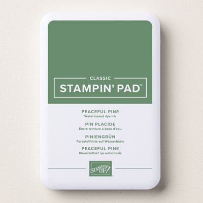 Stampin Up Product 167679