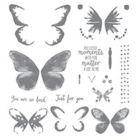 Watercolor Wings Photopolymer Stamp Set