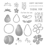 Stampin Up Product 141770