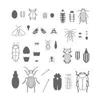 Ensemble de timbres en photopolymère de coléoptères et insectes
