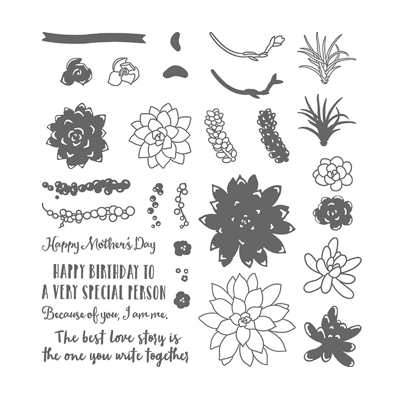 Oh So Succulent Photopolymer Stamp Set