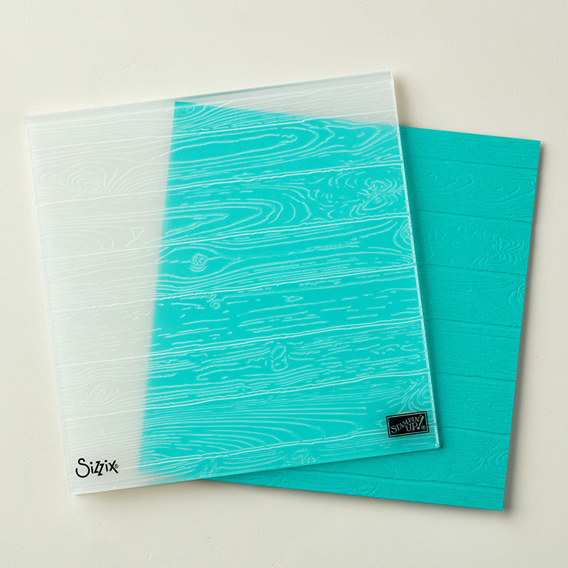 Pinewood Planks Dynamic Textured Impressions Embossing Folder