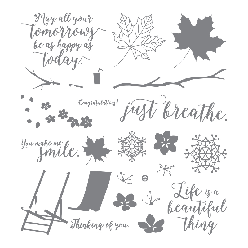 Image result for colorful seasons stampin up