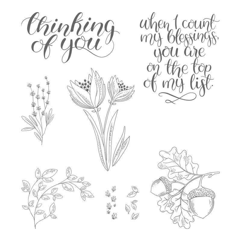 Count My Blessings Clear-Mount Stamp Set
