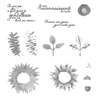 Récolte au pinceau Photopolymer Stamp Set (French)