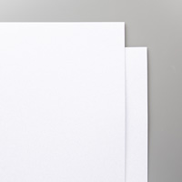Sparkle/white glimmer paper