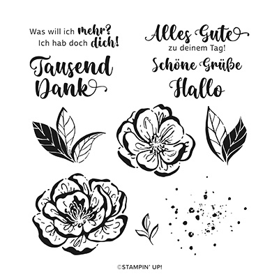 Stampin Up Product 161146