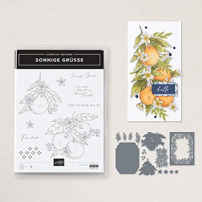 Stampin Up Product 163297