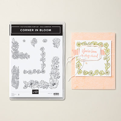 Stampin Up Product 164959